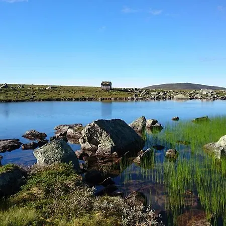 Sunndalsfjord Fredsvik Meisalstranda 455,506 Og 508