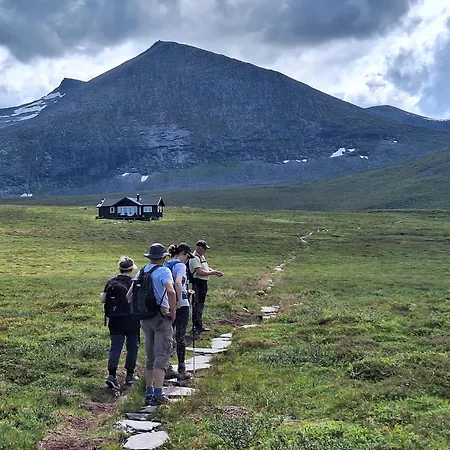 Sunndalsfjord Fredsvik Meisalstranda 455,506 Og 508 *