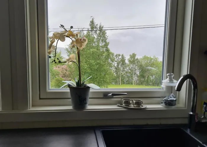 Sunndalsfjord Fredsvik Meisalstranda 455,506 Og 508 Sunndalsøra