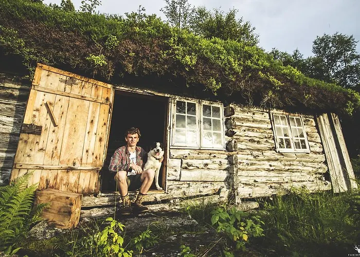 Sunndalsfjord Fredsvik Meisalstranda 455,506 Og 508